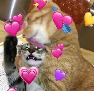 💖 猫, 愛, 愛情, 可愛い, 動物, ペット, ハートステッカー telegram sticker