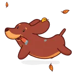 🐕 hond, herfst, bladeren, schattig, cartoon, teckel telegram sticker