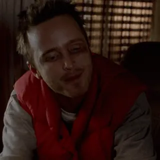 🚬 Jesse Pinkman Breaking Bad jesse pinkman, breaking bad, aaron paul, reaction, tv series, drama, actor, memes telegram sticker