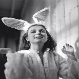 ☺️ lapin, déguisement, oreilles, personne, noir et blanc, niveaux de gris telegram sticker