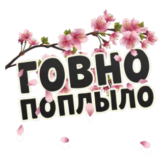 💩 ГОВНО
ПОПЛЫЛО テキスト, ロシア語, 侮辱, 桜 telegram sticker