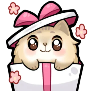 🎁 cat telegram sticker