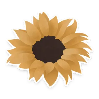 🌻 sunflower, flower, nature, yellow, plant, floral telegram sticker