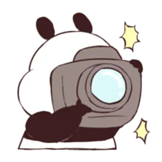 📷 Panda, Dier, Camera, Fotografie telegram sticker