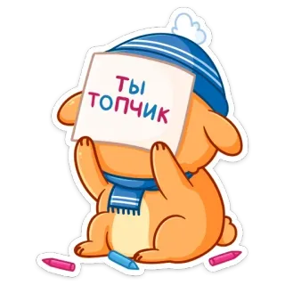 👍 ТЫ ТОПЧИК 卡通, 狗, 帽子, 围巾, 文字, 积极 telegram sticker