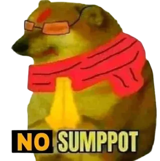 🥳 NO SUMPPOT doge, chó, meme, kính, hài hước telegram sticker
