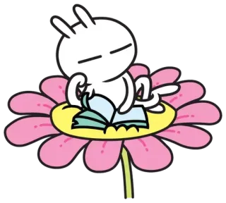 📘 conejo, flor, leyendo, libro, dibujos animados, lindo whatsapp sticker