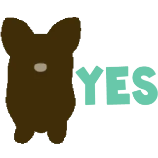 👍 animal, bear, illustration, cartoon telegram sticker