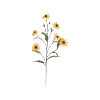 🌸 꽃, 식물, 노란색, 플로럴, 자연, 정원 telegram sticker