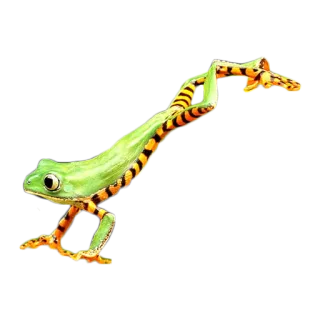🐸 カエル, 動物, 両生類, 緑, 野生動物, 自然 telegram sticker