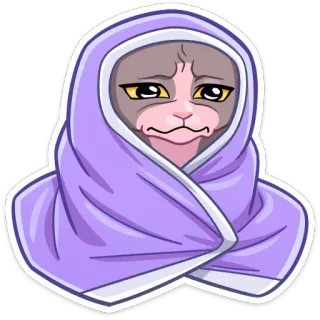 ☹️ Katze, Kätzchen, Decke, süß, Tier whatsapp sticker