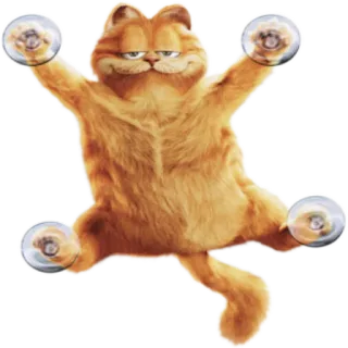 🙃 Garfield Garfield, chat, dessin animé, orange, ventouses, drôle whatsapp sticker