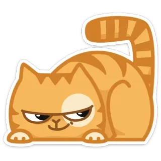 😏 gato, animal, fofo, laranja, adesivo, desenho animado, felino telegram sticker