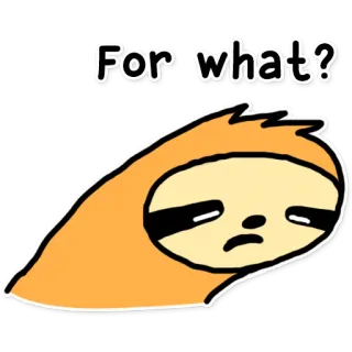 😞 For what? ленивец, милый, смешной, вопрос, грустный whatsapp sticker