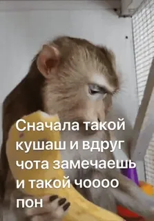 🤔 Сначала такой кушаш и вдруг чота замечаешь и такой чоооо пон Affe, essen, Banane, Meme, lustig telegram sticker