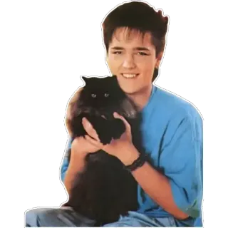 🙂 người, mèo, thú cưng, động vật, chân dung, nụ cười telegram sticker