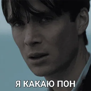 😃 Я КАКАЮ ПОН telegram sticker