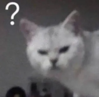 😐 ? kat, vraagteken, verward, dier, huisdier telegram sticker