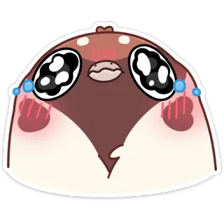 😭 telegram sticker