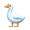 🐦