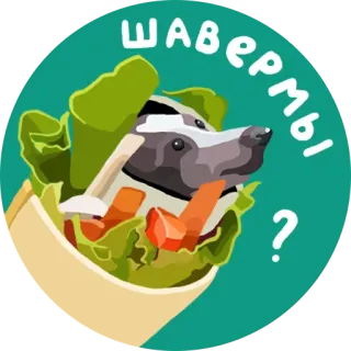 🌯 Шавермы? Shawarma, Texugo, Comida, Russo, Sanduíche, Wrap telegram sticker