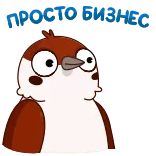 ☝️ Gotcha Bitch bird, gotcha, funny, cartoon, humor, cute whatsapp sticker