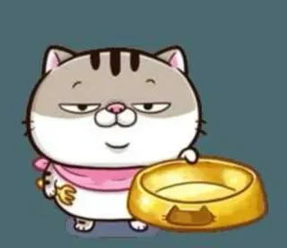 🤤 Katze, Aufkleber, süß, Tier, Haustier, Cartoon, Schüssel telegram sticker