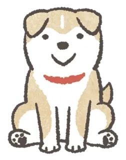 🙂 cão, animal, animal de estimação, fofo, sentado whatsapp sticker