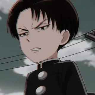 ☕ Levi Ackerman Attack on Titan anime, manga, attack on titan, levi, levi ackerman, character telegram sticker