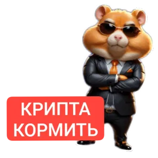 👍 Hamster Kombat Hamster Hamster Kombat КРИПТА КОРМИТЬ telegram sticker