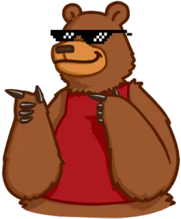 😎 urso, óculos de sol, meme, animal, legal, engraçado telegram sticker