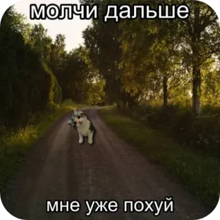 😶 молчи дальше
мне уже похуй 猫, 道, 歩く, ロシア, ユーモア, ミーム telegram sticker
