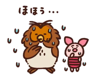 🐻 ほほう・・・ burung hantu, anak babi, berkeringat, terkejut, lucu whatsapp sticker