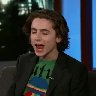 🥀 Timothée Chalamet người nổi tiếng, diễn viên, Timothée Chalamet telegram sticker