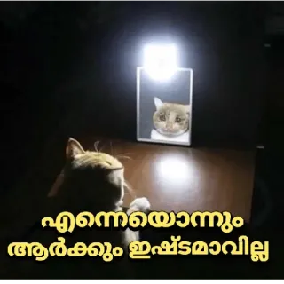 🥺 എന്നെയിൊന്നും ആർക്കും ഇഷ്ട്ടമാവില്ല kat, verdrietig, reflectie, spiegel, schattig telegram sticker