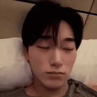 🪵 ngủ, nhắm mắt, người châu á, người telegram sticker