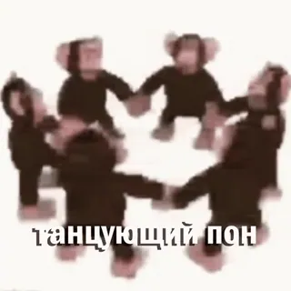 👯♀️ танцующий пон macacos, dançando, círculo, macaco, meme whatsapp sticker