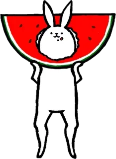 🐰 conejo, conejito, sandía, lindo, animal, comida telegram sticker