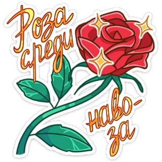 🌹 Роза среди навоза роза, цветок, сленг, стикер, мем, русский whatsapp sticker