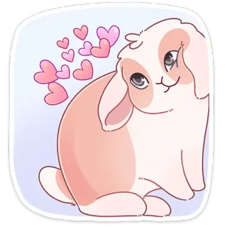 ❤️ coelho, fofo, animal, corações, amor whatsapp sticker