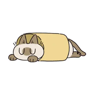 😴 kucing, burrito, imut, hewan, hewan peliharaan whatsapp sticker