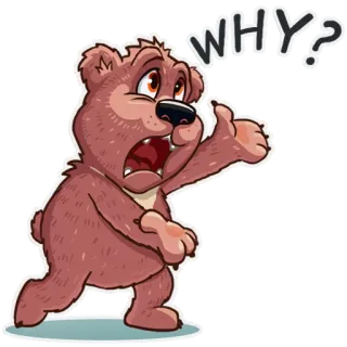 😧 WHY? urso, pergunta, desenho animado, animal, fofo telegram sticker