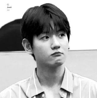 🕊 kpop, exo, ไอดอล, แบคฮยอน, เกาหลี, นักร้อง, คนดัง telegram sticker