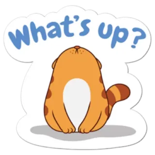 👐 What's up? Katze, Frage, Orange, süß, Gruß telegram sticker