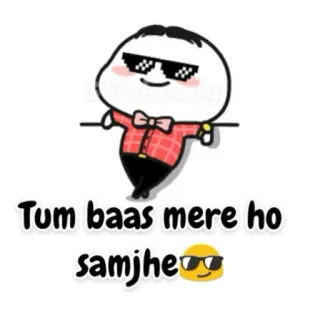 🤨 Tum baas mere ho samjhe😎 cartone animato, personaggio, hindi, testo, occhiali da sole, carino telegram sticker
