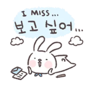 🐰 I MISS ...
보고 싶어 lindo, conejo, te extraño, coreano, saludo whatsapp sticker