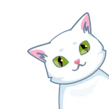 ❤️ cat, white cat, pet, animal, cute, sticker telegram sticker