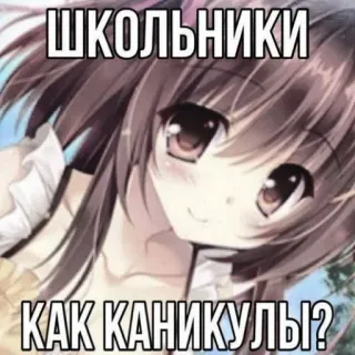 🤓 ШКОЛЬНИКИ
КАК КАНИКУЛЫ? anime, meme, text, russian telegram sticker