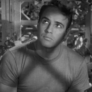 〰 Marlon Brando, Schauspieler, Klassiker, Vintage, Schwarzweiß whatsapp sticker