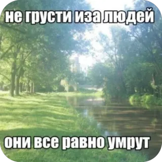 🫥 не грусти изза людей
они все равно умрут meme ruso, triste, depresión, humor negro, naturaleza telegram sticker